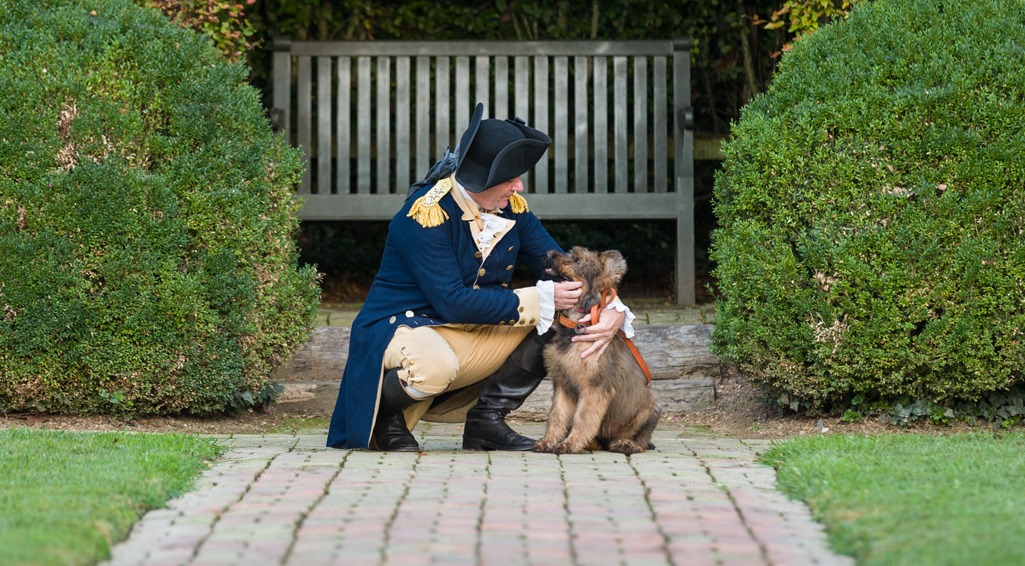 Who Let The Dogs Out Colonial Williamsburg Introduces New Mascot Liberty Flat Hat News