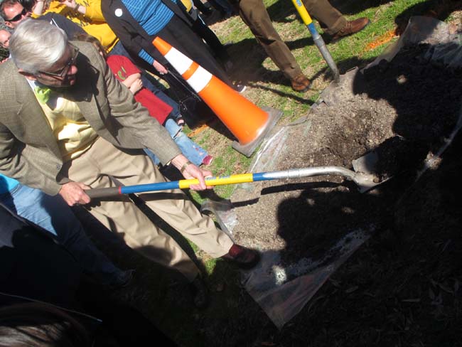 Newton tree lineage lands on campus