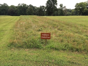 The Dimmock Line was a series of fifty-five artillery batteries and connected infantry earthworks that were in a 10-mile arc around Petersburg. COURTESY PHOTO / SUSAN RIGGS