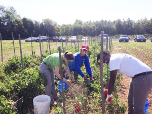 Branch Out features social justice missions with specific goals, such as food justice and supportive housing. COURTESY PHOTO / GRACE FERNANDEZ