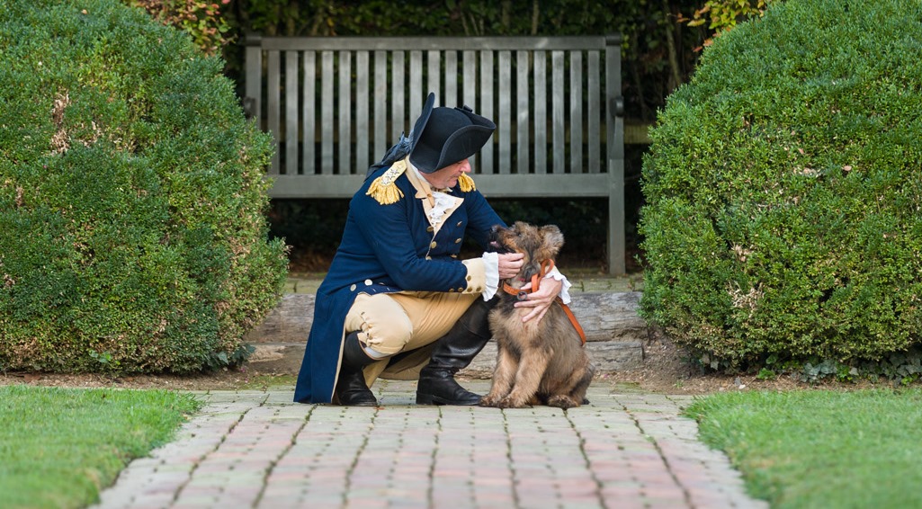 are dogs allowed at colonial williamsburg