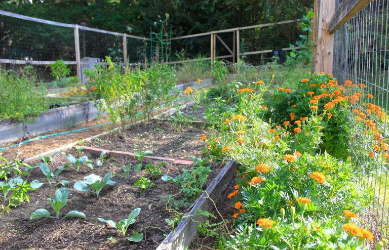 Students build children community garden