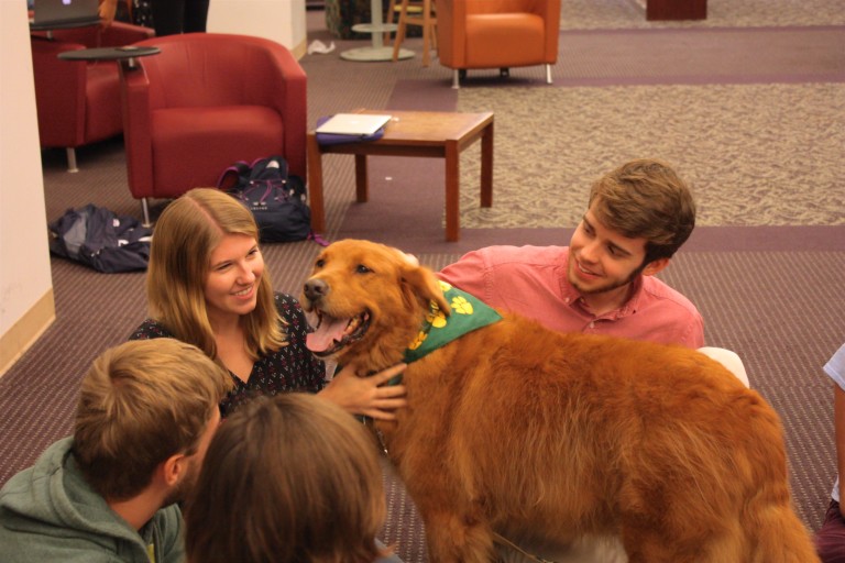 The emotional need for dogs in dorm rooms