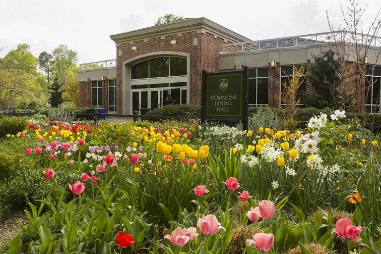 Facing long break, students create fundraiser for dining hall workers