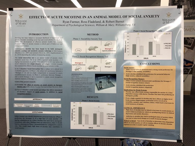 Undergraduates present interdisciplinary research