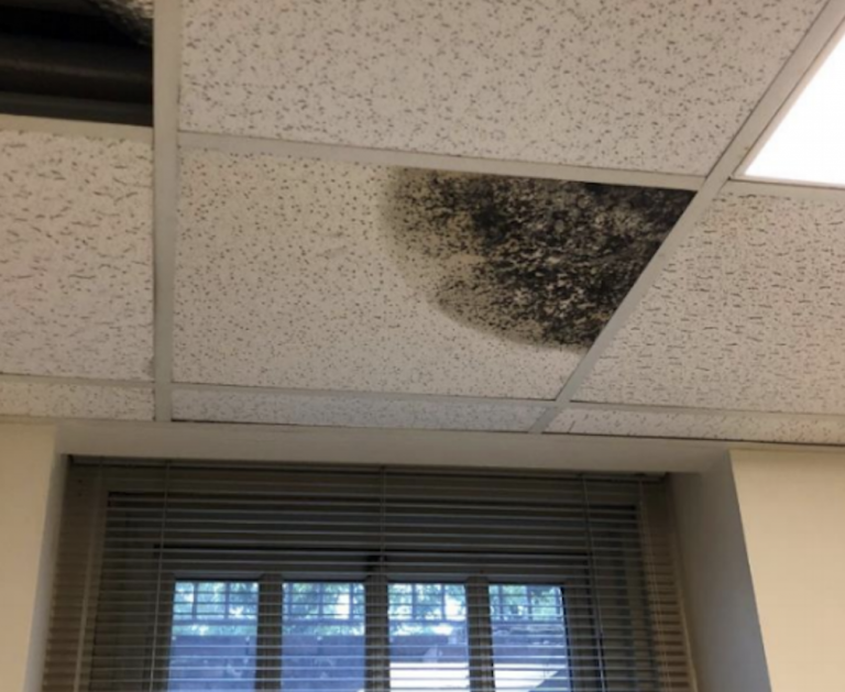 Students report health complications from mold exposure in campus housing