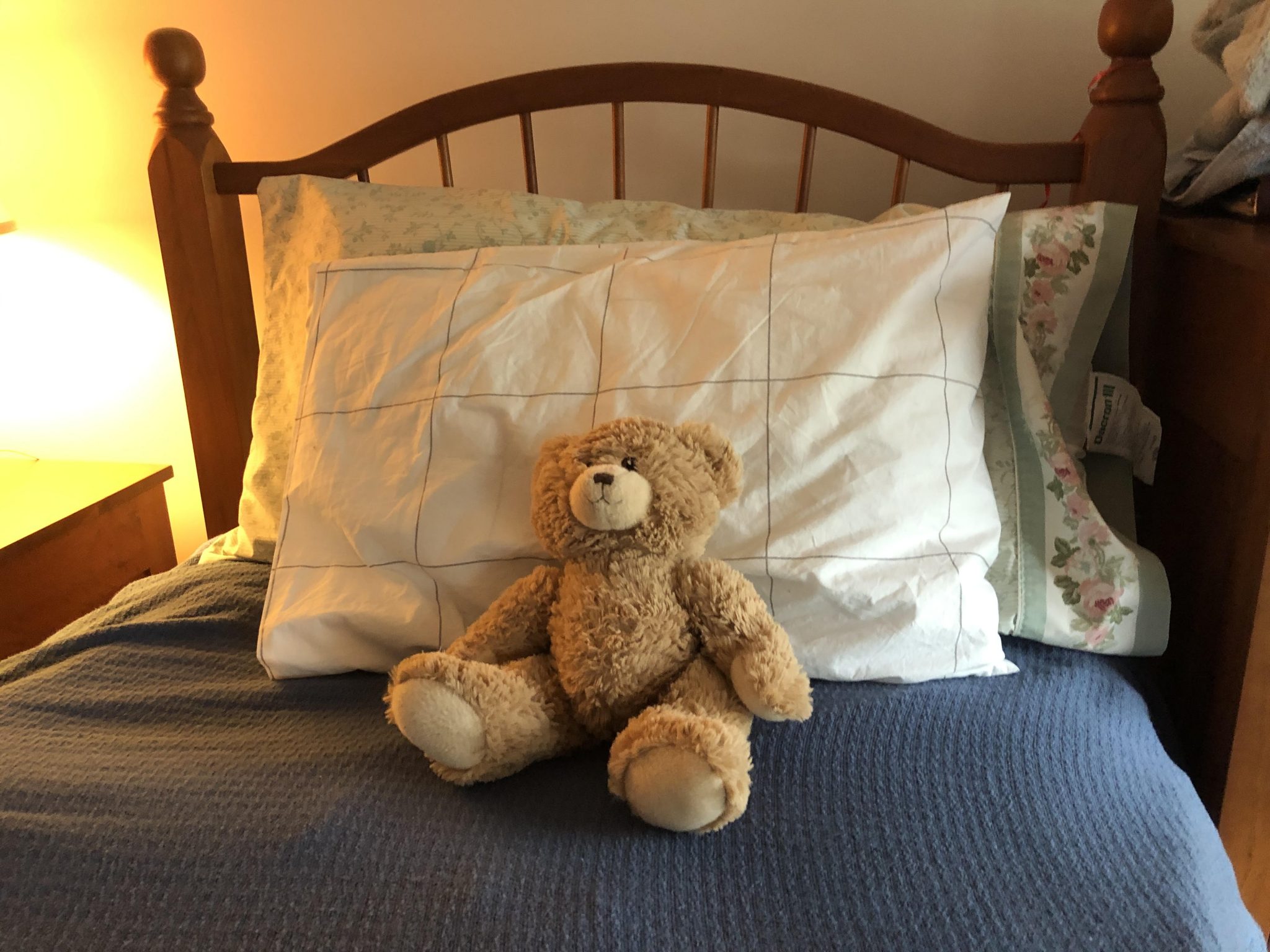 Stuffed animals are necessary – The Campus