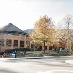 Advice for vegans by a vegan