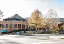 Advice for vegans by a vegan