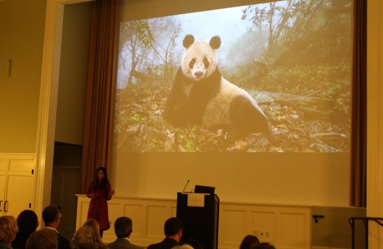 National Geographic photojournalist, explorer Ami Vitale visits College