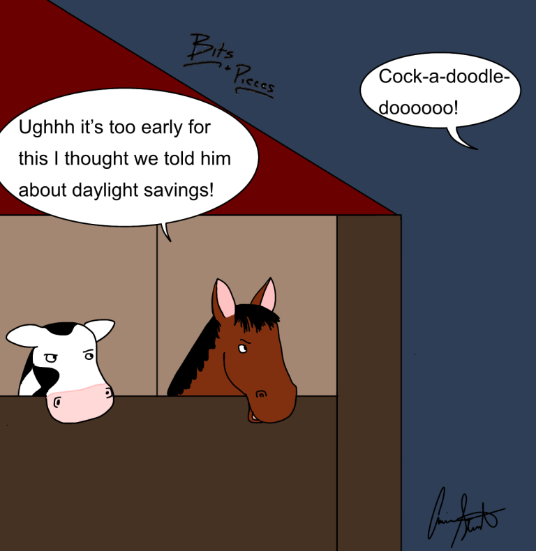 Bits & Pieces: The Dilemma With Daylight Savings