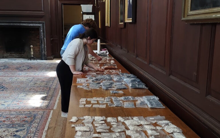 Ending senior year brick by brick: College invites community to build Wren with LEGO bricks