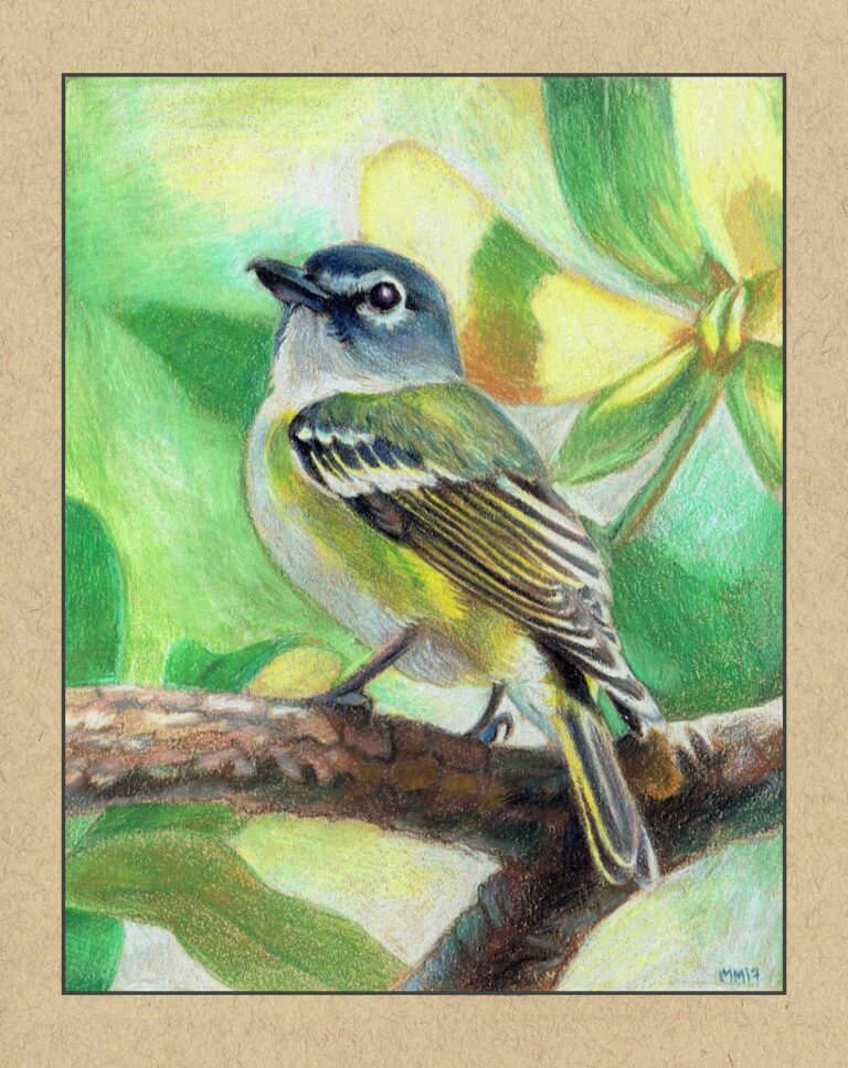 It’s A “Hoot:” Bird Club offers peaceful sanctuary for bird watchers of all experience levels