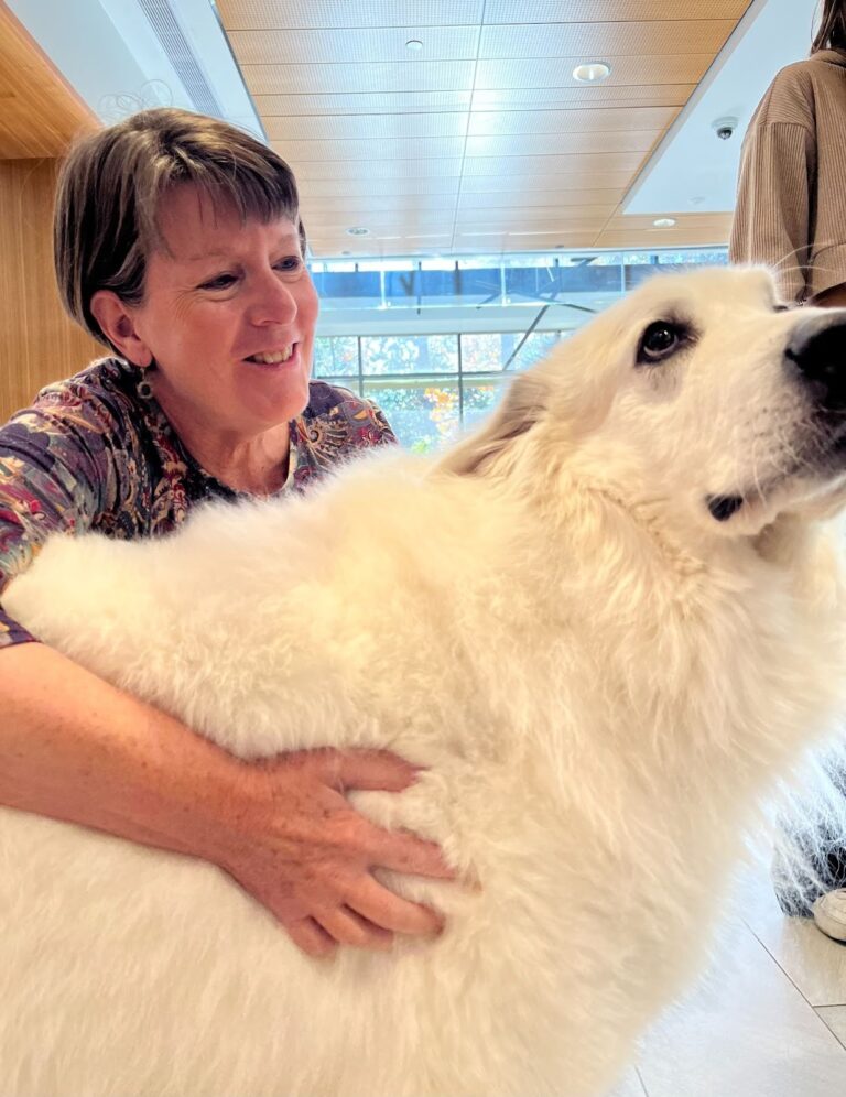 The Dog Days of Williamsburg: A Current Guide to All Your Campus Cuddlies