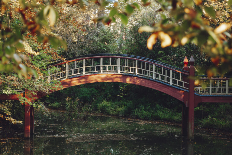 Land acknowledgements insufficient without action