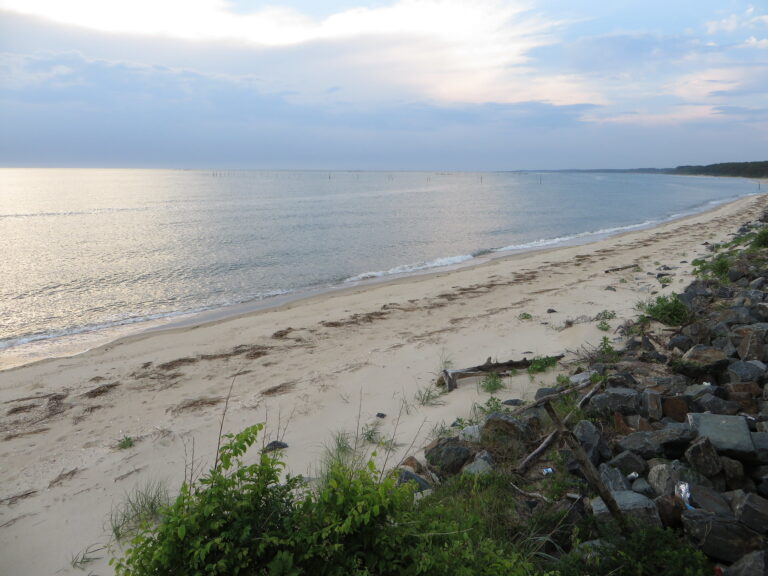 CEO of Chesapeake Bay Foundation Hilary Falk gives lecture on conservation