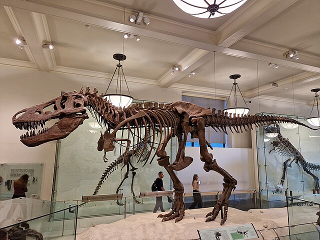 Sterling Nesbitt delivers talk on dinosaurs, Triassic period