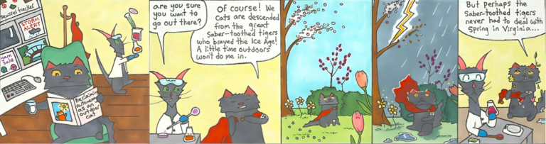Nine Lives – A Spring Side Adventure