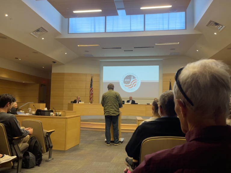 Students speak at Williamsburg City Council meeting, advocate against local use of Flock surveillance cameras