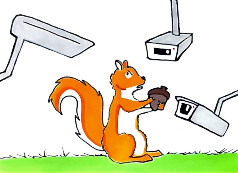 Flock cameras: Not just license plate readers